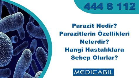  Zoogonus: Bu Sürüngen Gibi Parazit Hangi Ev Sahibine Yolculuk Eder?