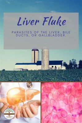  Liver Fluke: This Tiny Parasite Can Make Your Bile Ducts Its Home Away From Home!